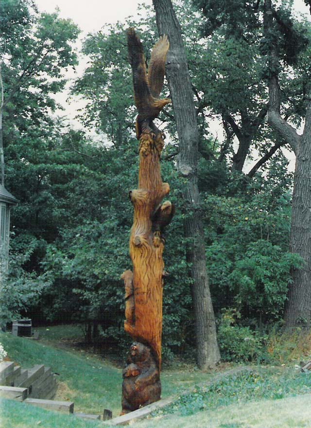 Eagle on Tree
